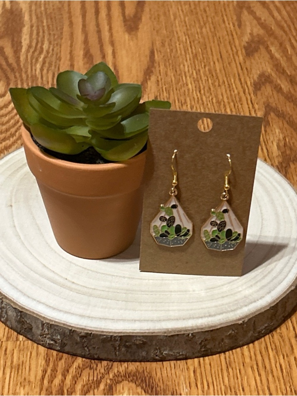 New Lightweight Fashionable Succulent Hypoallergenic Earrings & Artificial Plant